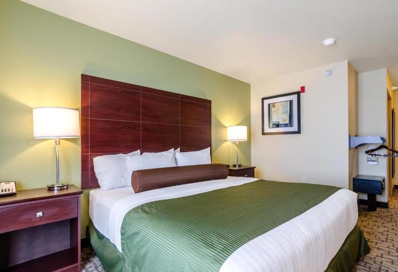 غرفة قياسية سرير كينج لذوى الإحتياجات الخاصة, Cobblestone Inn & Suites  Ord