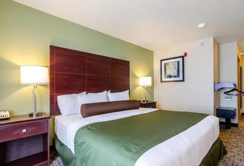 身障者適用キングサイズベッドルーム, Cobblestone Inn & Suites  Ord