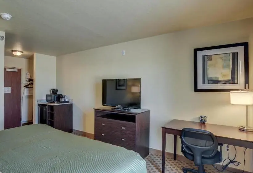 キングサイズベッドのスタンダードルーム, Cobblestone Inn & Suites  Ord