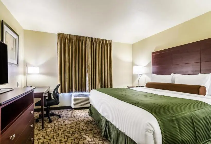 キングサイズベッドのスタンダードルーム, Cobblestone Inn & Suites  Ord