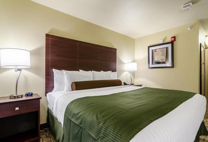 غرفة قياسية سرير كينج, Cobblestone Inn & Suites  Ord