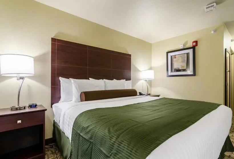 キングサイズベッドのスタンダードルーム, Cobblestone Inn & Suites  Ord