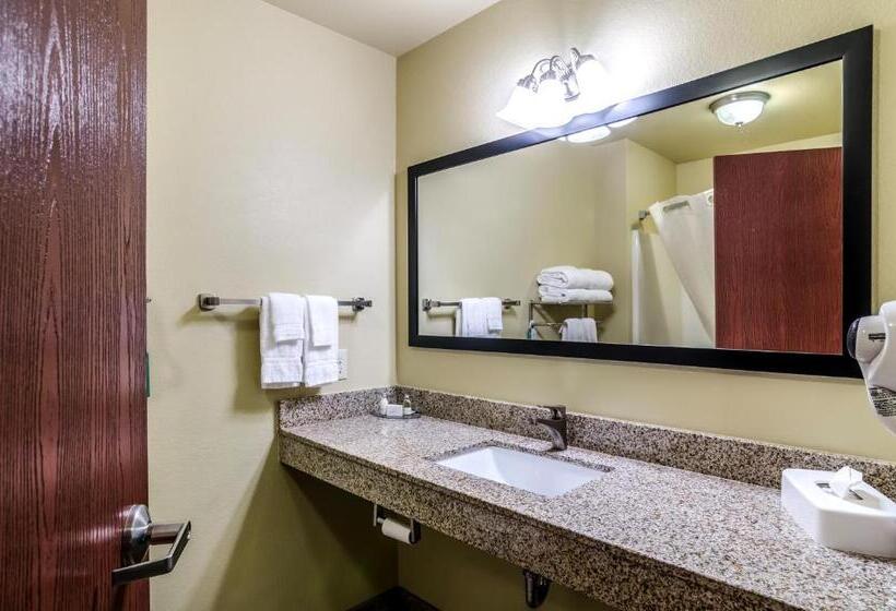 带大床的标准间, Cobblestone Inn & Suites  Ord