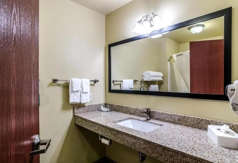 キングサイズベッドのスタンダードルーム, Cobblestone Inn & Suites  Ord