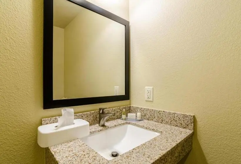 身障者適用スタンダードルーム, Cobblestone Inn & Suites  Ord