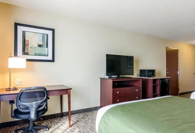 身障者適用スタンダードルーム, Cobblestone Inn & Suites  Ord