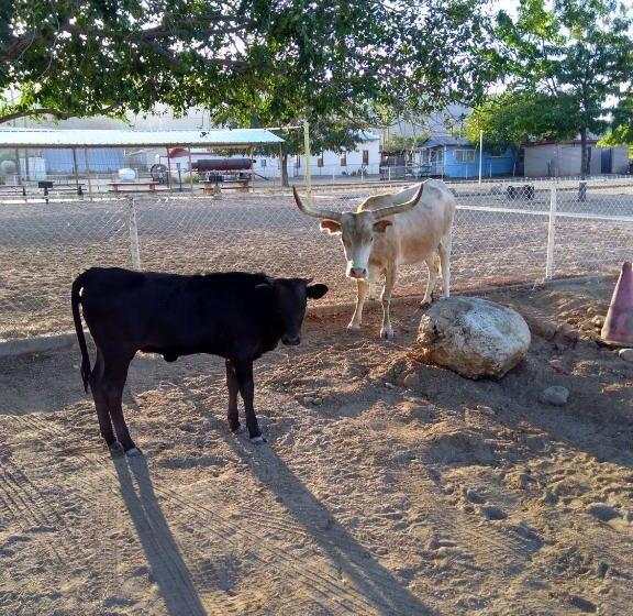 غرفة قياسية, Grand Canyon West Hotel Sheps Miners Inn