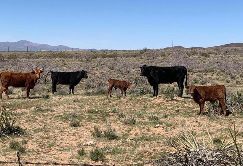 جناح عائلي, Grand Canyon West Hotel Sheps Miners Inn