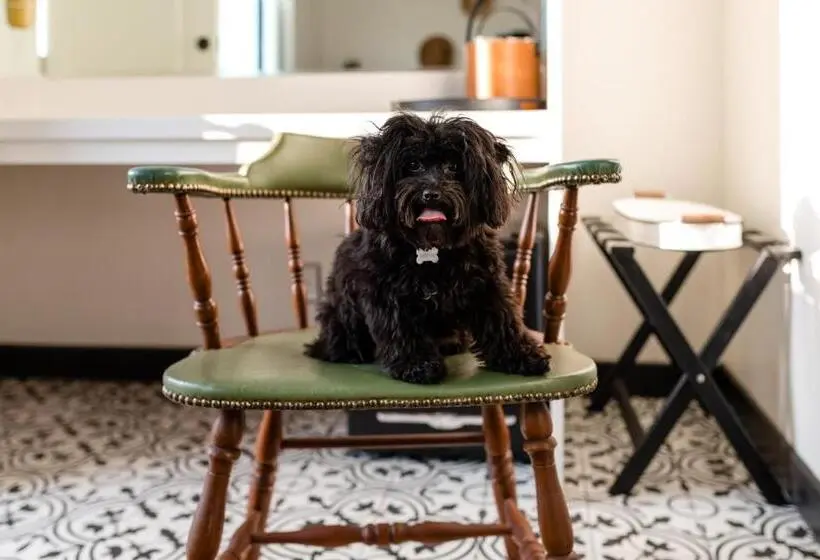 デラックスルーム, Cuyama Buckhorn