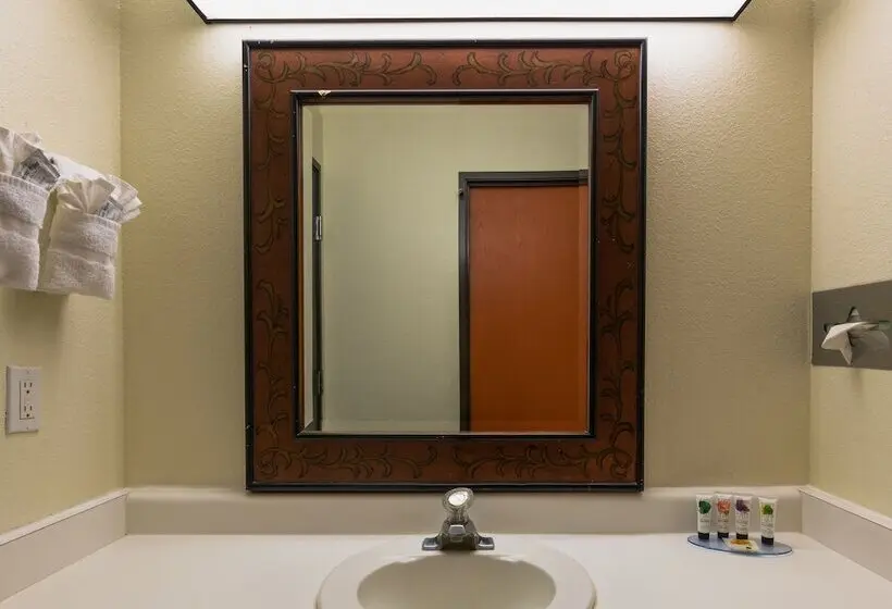 スイート, Coyote South