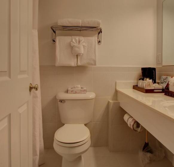 스탠다드 룸, Terrace By The Sea