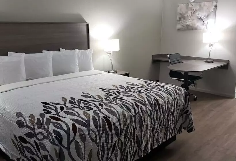 身障者適用スーペリアールーム, Red Roof Inn Cullman