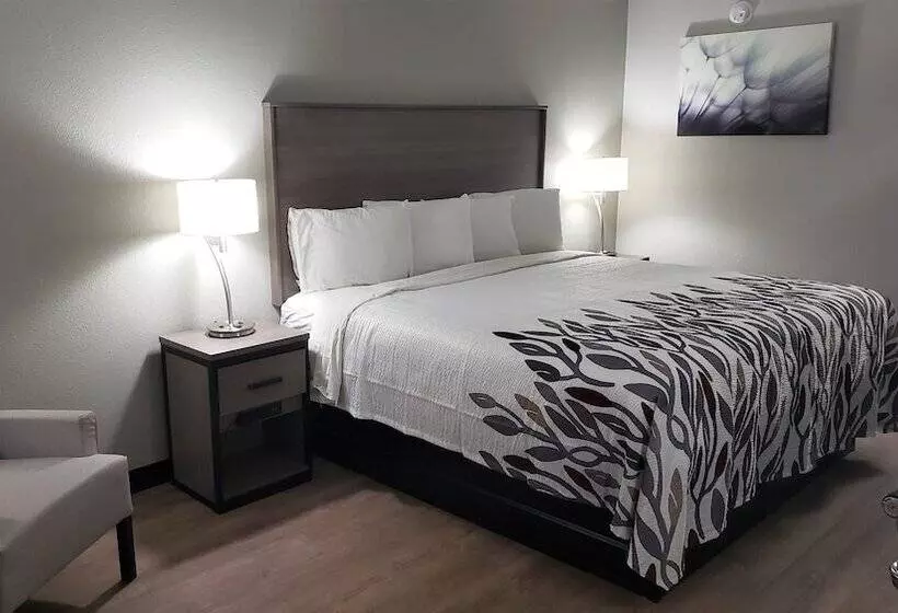 身障者適用スーペリアールーム, Red Roof Inn Cullman