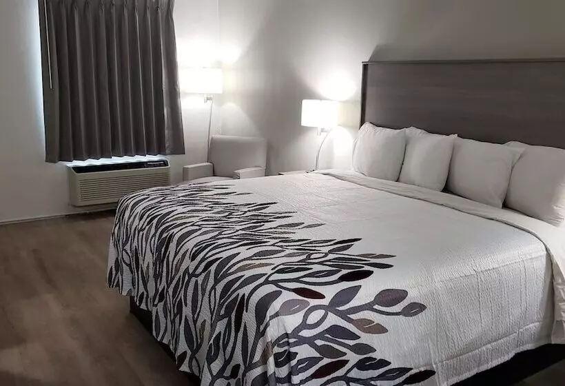 身障者適用スーペリアールーム, Red Roof Inn Cullman