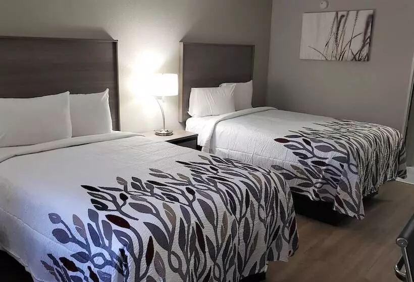 デラックスルーム, Red Roof Inn Cullman