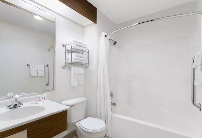 Standard-huone, Super 8 By Wyndham Antigo