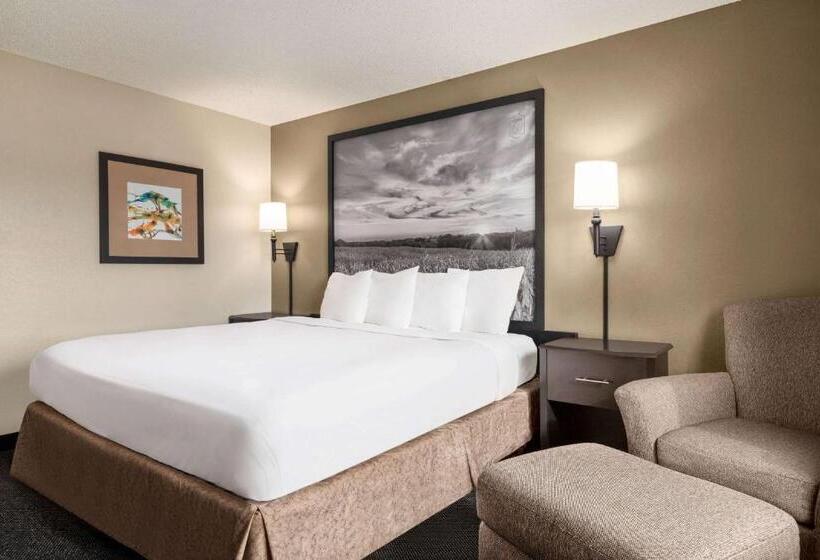 带大床的标准间, Super 8 By Wyndham Lincoln North