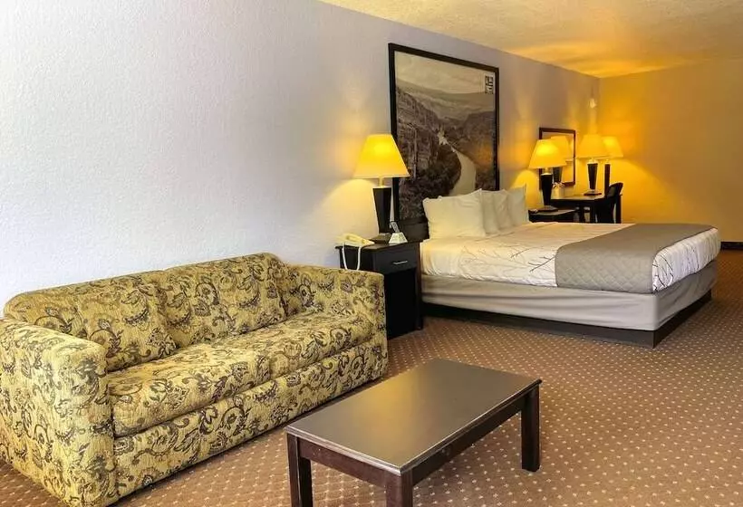スイート, Hill Country Inn & Suites   New Braunfels, Gruene