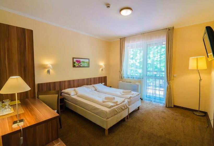 标准间带阳台, Balaton Colors Beach