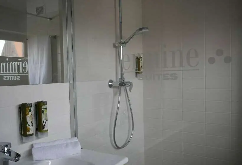 آپارتمان 1 خوابه, Ermine Suites