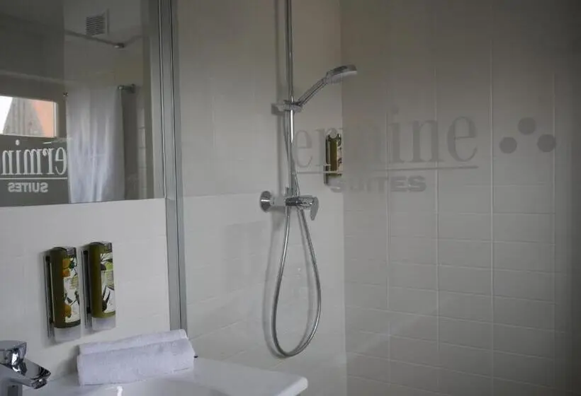 آپارتمان 1 خوابه, Ermine Suites