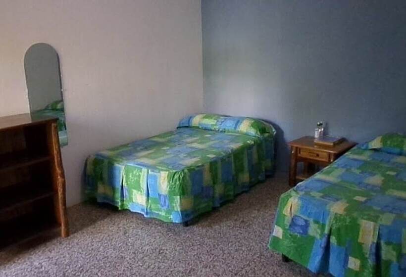 اتاق لوکس چهار تخته, Viñas Del Lago