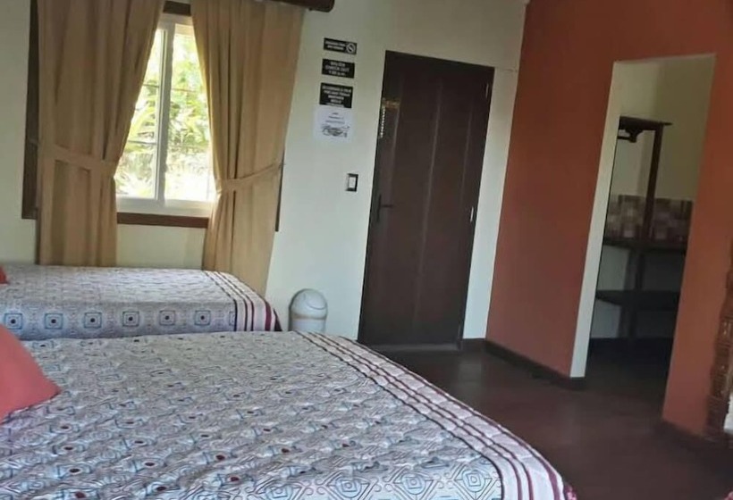 کلبه دلوکس, Viñas Del Lago