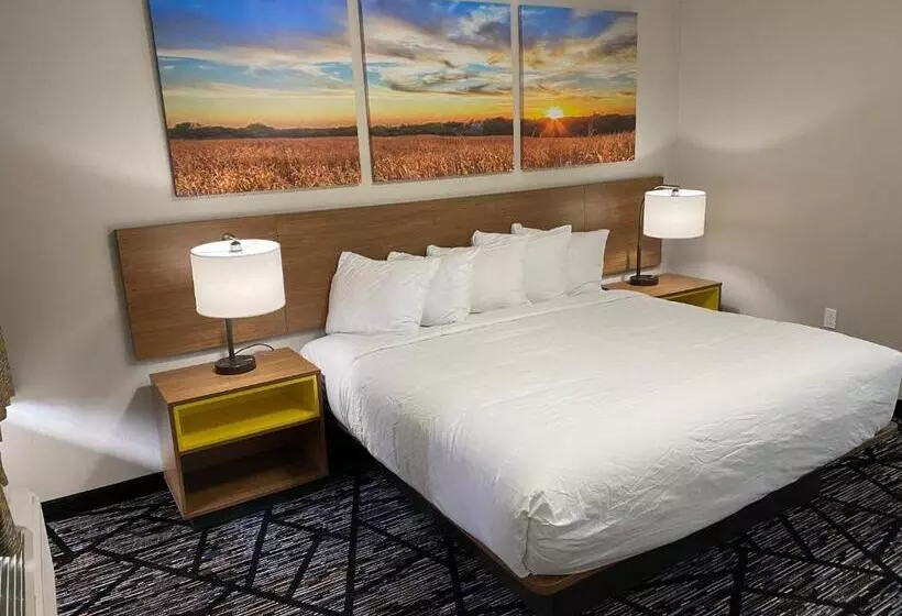 اتاق استاندارد با تخت بزرگ, Days Inn By Wyndham Lake Charles