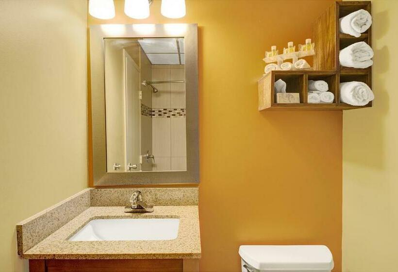 غرفه قياسيه سريرين مزدوجين, Days Inn By Wyndham Southington