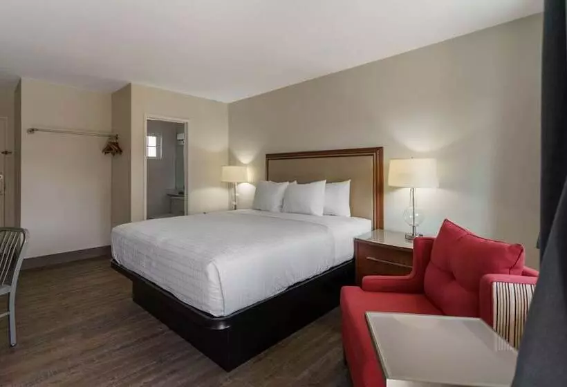 スタンダードルーム, Riverfront Inn Roseburg