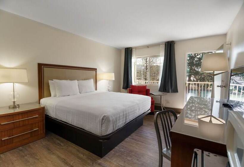 غرفة قياسية, Riverfront Inn Roseburg