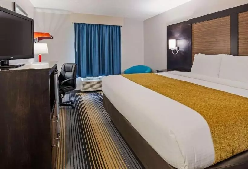 身障者適用キングサイズベッドルーム, Surestay Hotel By Best Western Florence