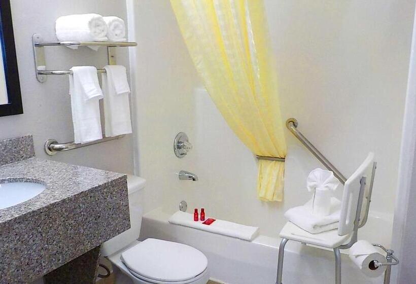 身障者適用キングサイズベッドルーム, Surestay Hotel By Best Western Florence