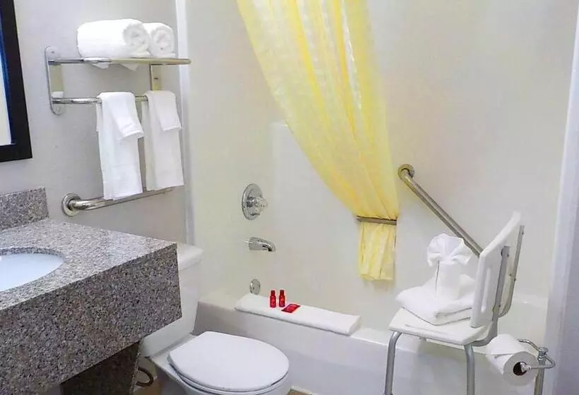 身障者適用キングサイズベッドルーム, Surestay Hotel By Best Western Florence
