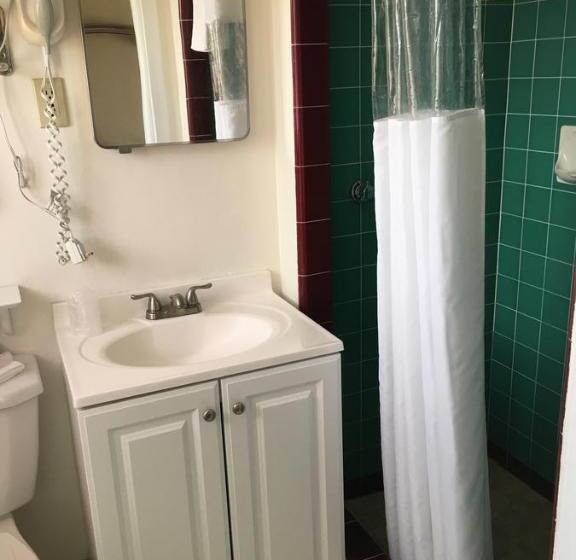 اتاق استاندارد با تخت بزرگ, The Monticello Inn