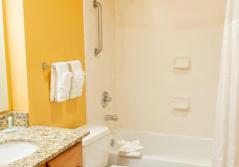 جناح, Towneplace Suites Dallas Las Colinas