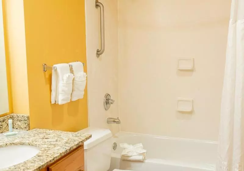 سوییت, Towneplace Suites Dallas Las Colinas