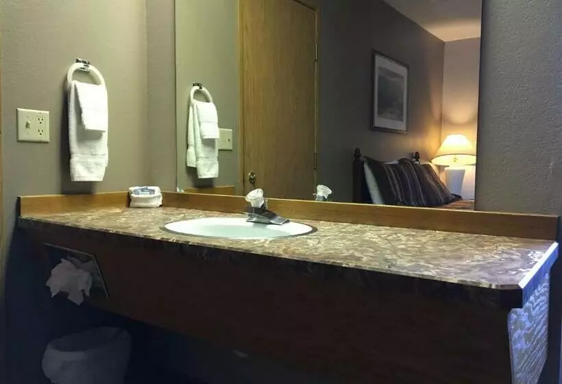 Standard-huone, Timber Lodge Inn