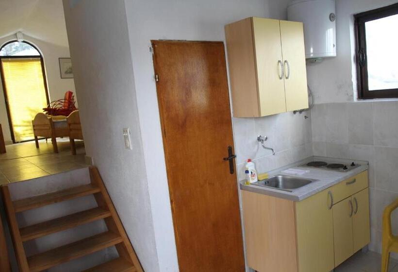 Studio Standard z Balkonem, Apartments Popović