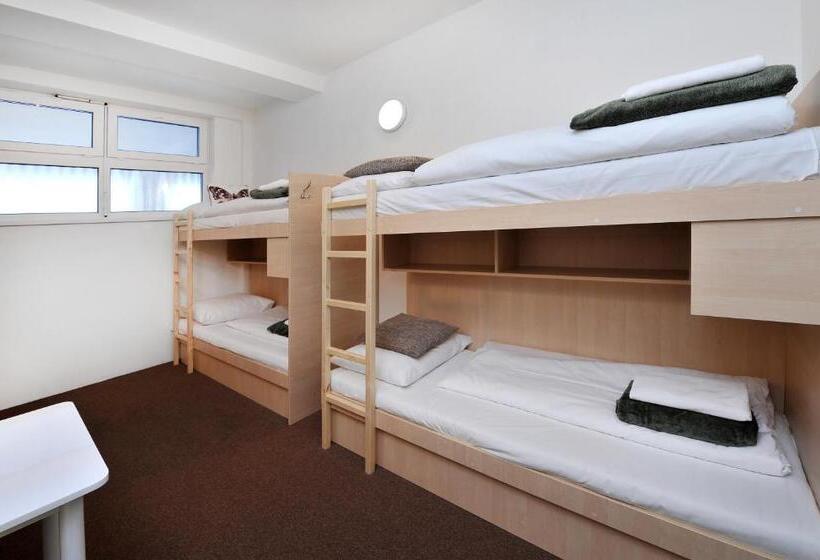 共用房间的床, Bel Hostel