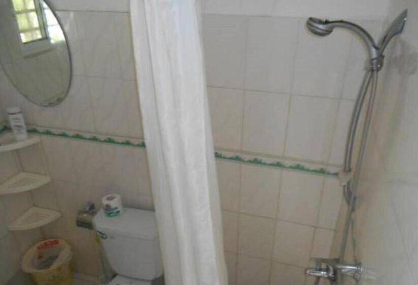 اتاق اکونومی, Lucy Rooms