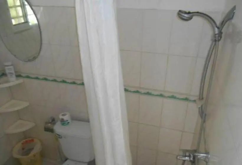 اتاق اکونومی, Lucy Rooms