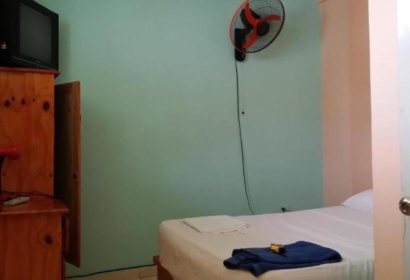 اتاق اکونومی, Lucy Rooms