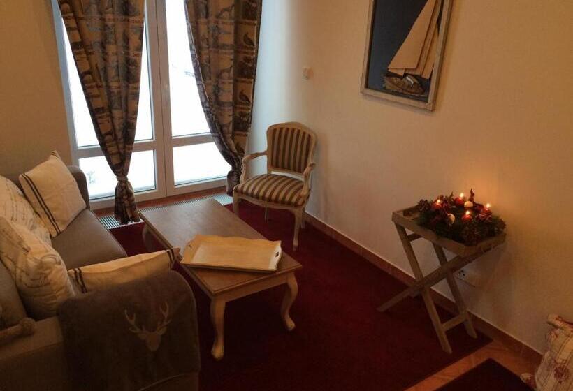 带1个卧室的公寓, U Svatého Prokopa