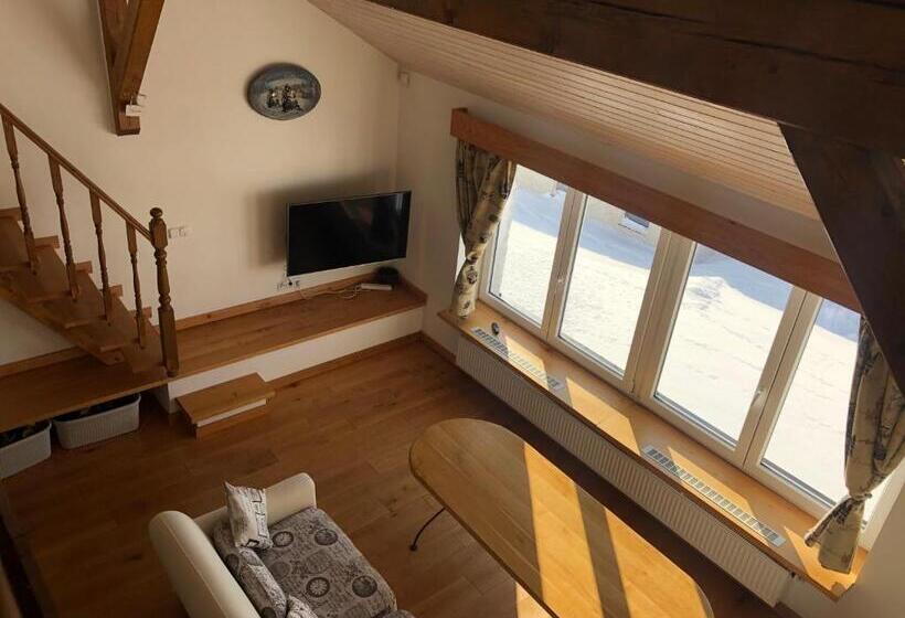 带1个卧室的高级公寓, U Svatého Prokopa