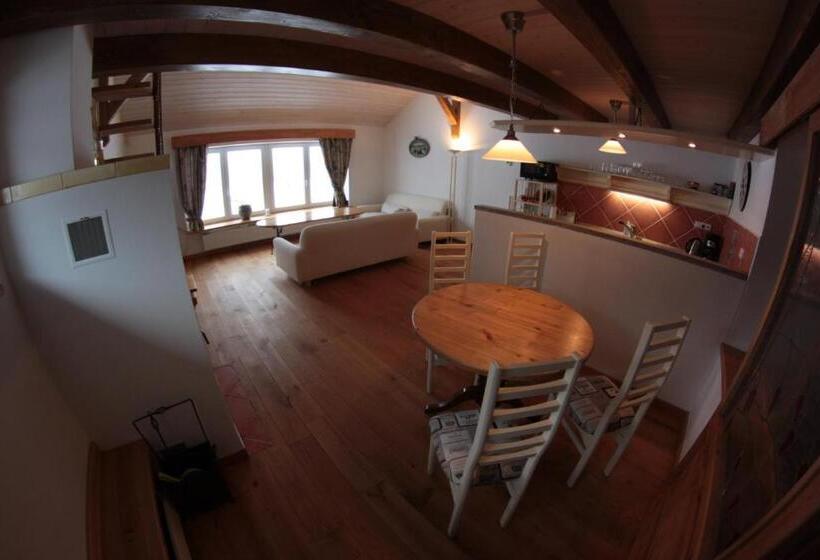 带1个卧室的高级公寓, U Svatého Prokopa