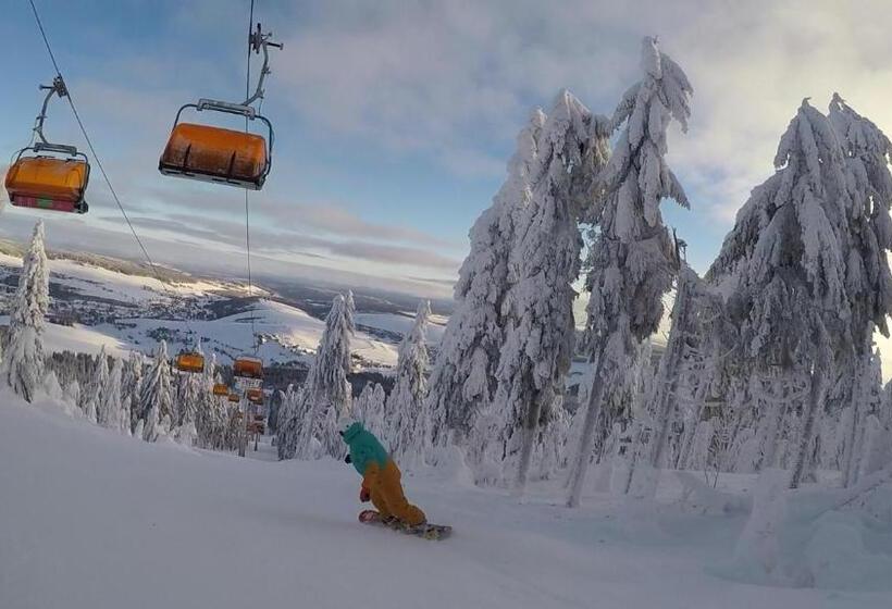 带1个卧室的高级公寓, U Svatého Prokopa