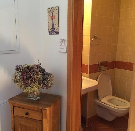 带1个卧室的高级公寓, U Svatého Prokopa