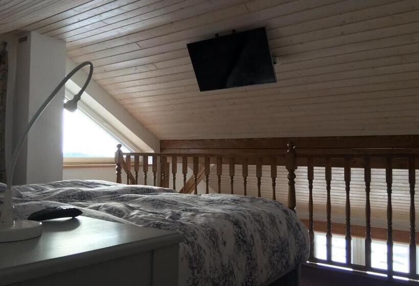 带1个卧室的高级公寓, U Svatého Prokopa