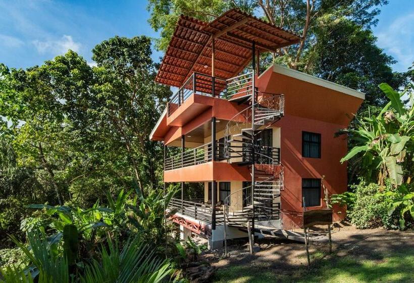 غرفة سوبيريور, Jungle Lodge At Wild Sun Rescue Center